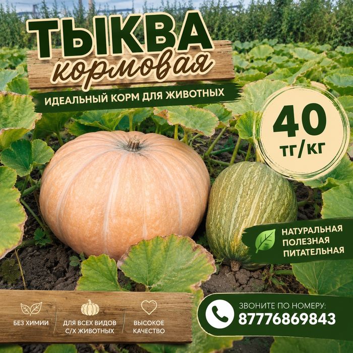 Продам тыкву кормовую