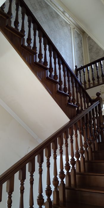 Yogochdan Zina qilamiz