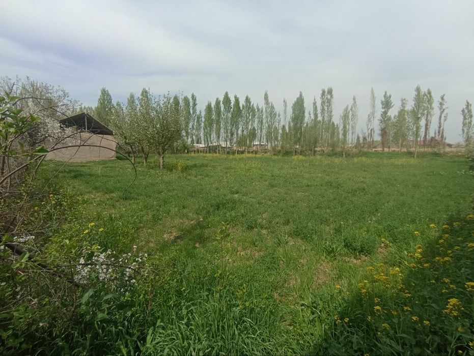 Yer sotiladi vremiyankasi bilan