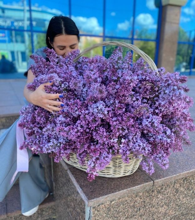 Апрельская сирень. Сирень