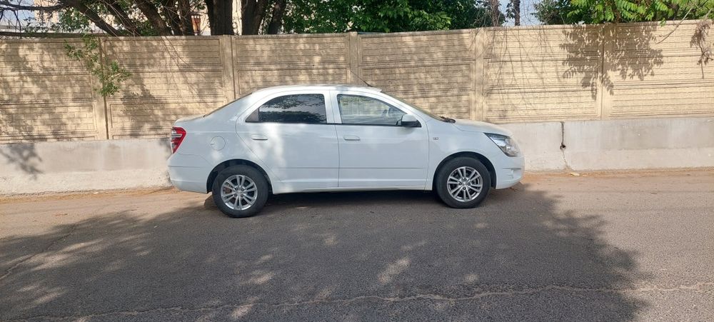 Other Cobalt 2024 — 3