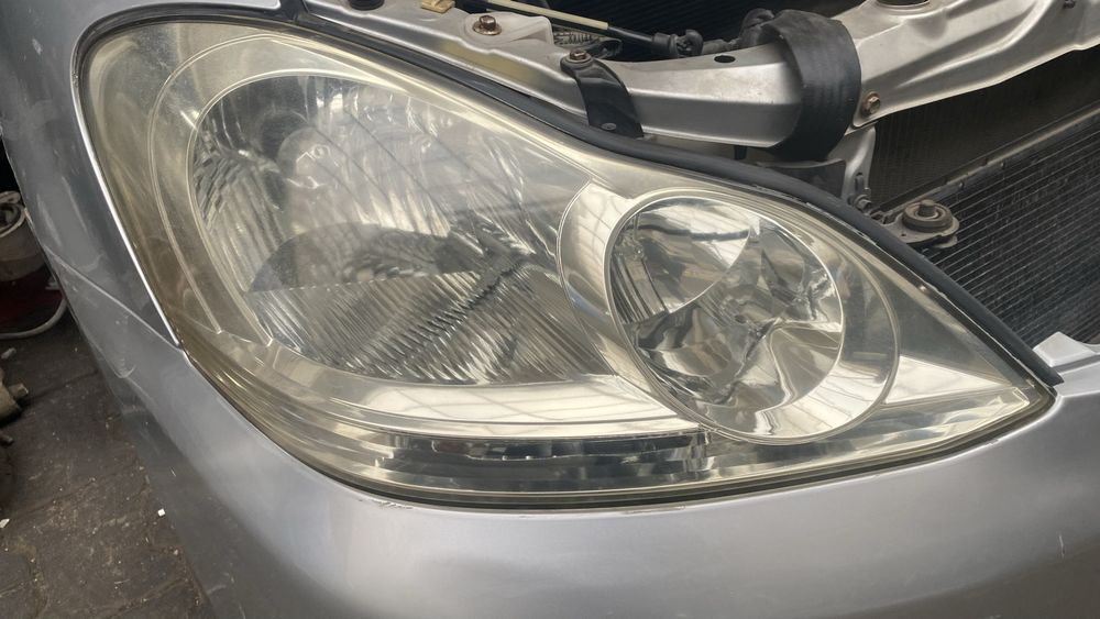 Ноускат Ипсум рестайлинг