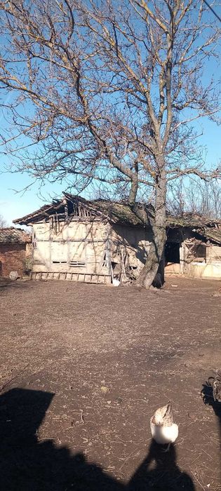 Продава се Къща в с. Кара Михал, Област Разград - 91 кв.м за 337 €/кв.м - Снимка #7