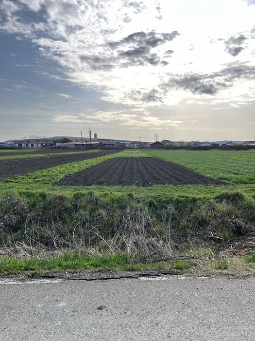 Vand teren intravilan in Criseni