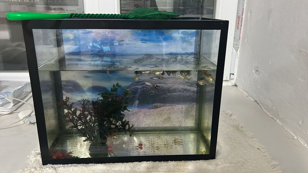 Продам аквариум с рыбкамм