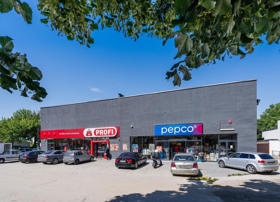 Centru comercial Corabia - Profi + Pepco, 100% inchiriat, 1.033 mp