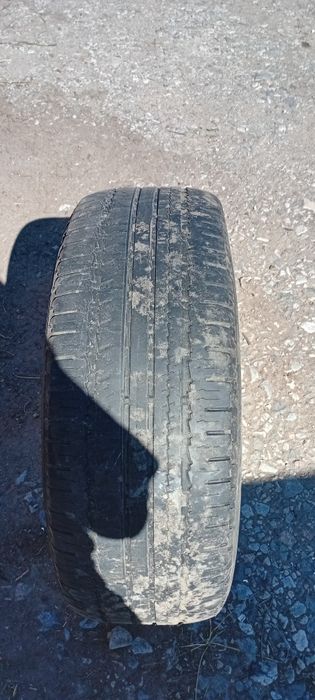 Летние шины nokian