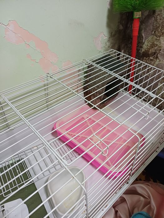 Продаётся клетка для кроликов напишите