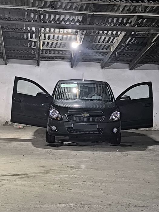 Краска тоза пробег халол