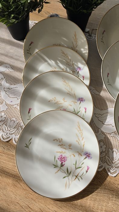 2 вида чинии Hutschenreuther