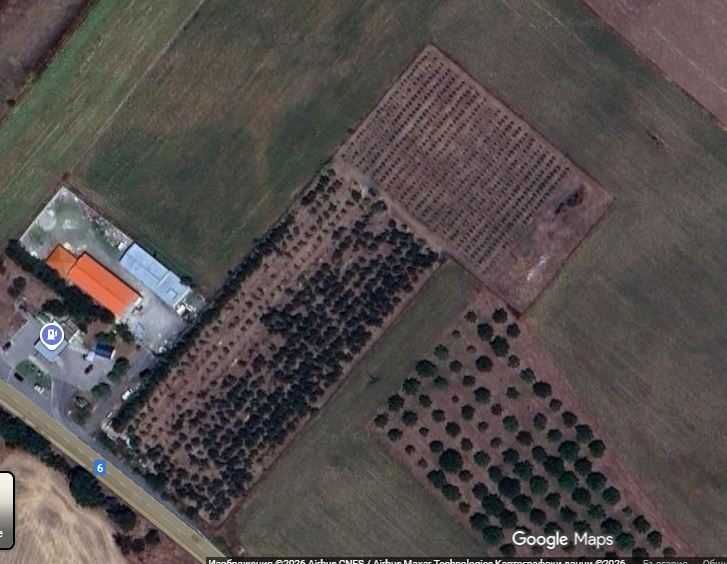 Овощна градина с трайни насаждения в плододаване