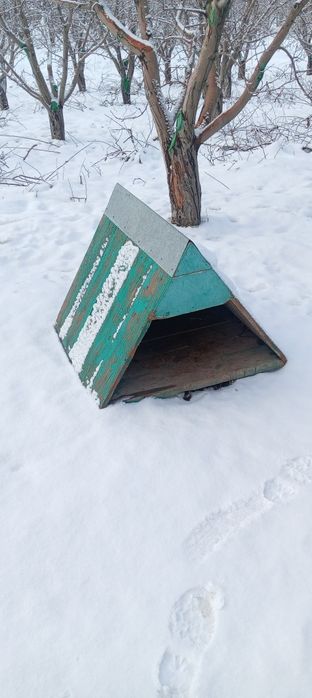 Продам бутку для собак