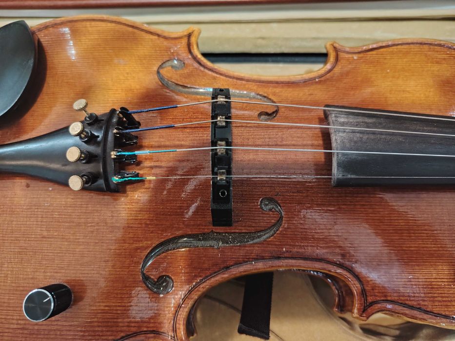 Vioară Eva  vechime 3 ani