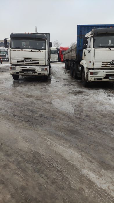 Услуги Длиномеров