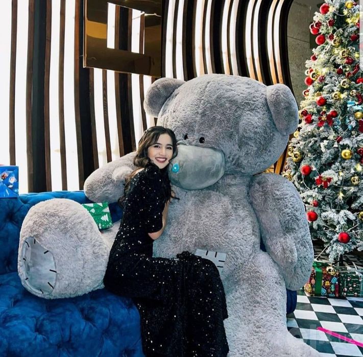 TEDDY original 100% Teddy teddi
