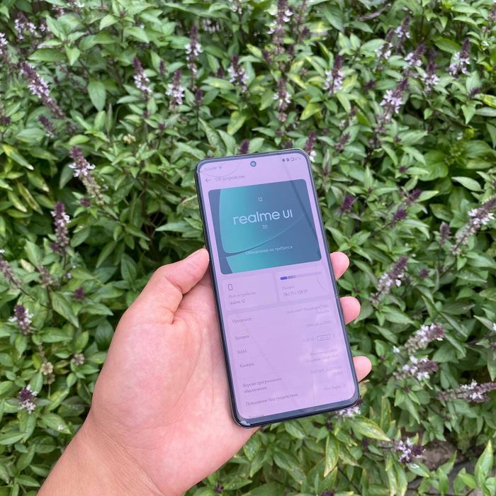 Realme 12  falgman madel