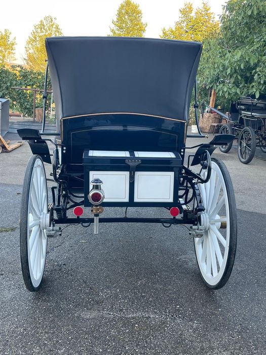 Vând trasura evenimente