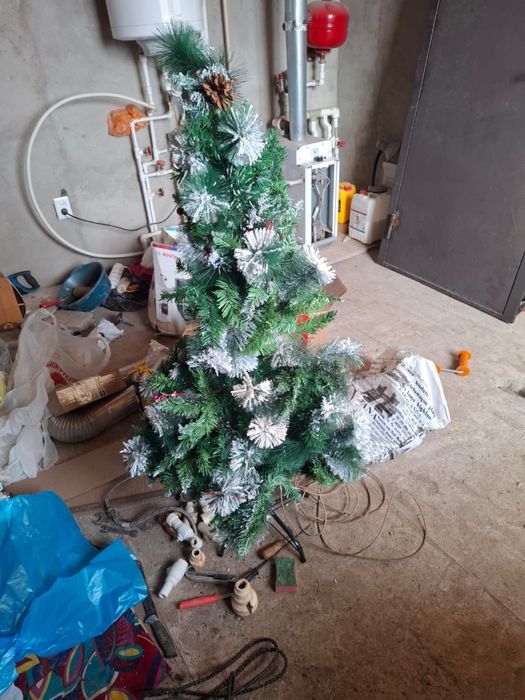 Отдам Ёлку даром
