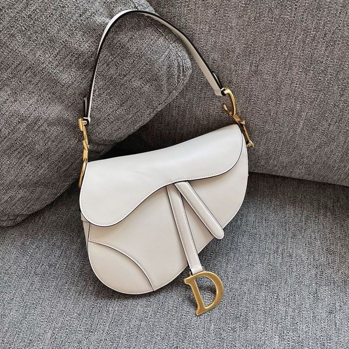 Geanta Dior Saddle