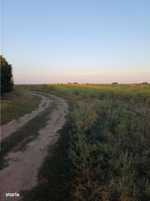 Otopeni-Str.Dr.Garii Balotesti-11.700mp-front 37ml-Ideal Investitie
