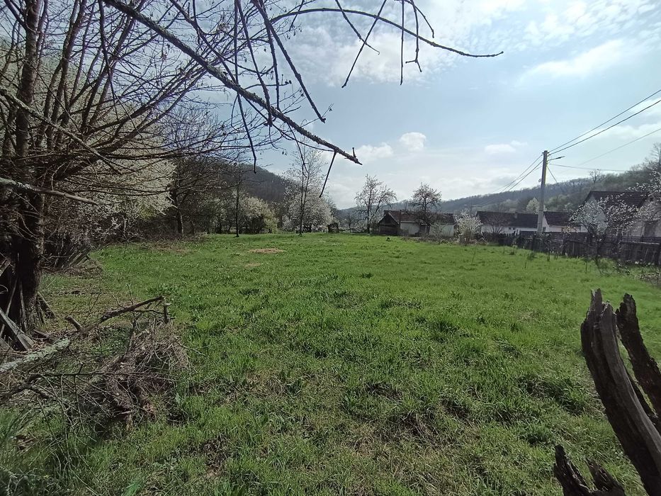 Tern cu casa bătrânească de vânzare