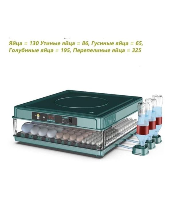 Инкубатор для яиц