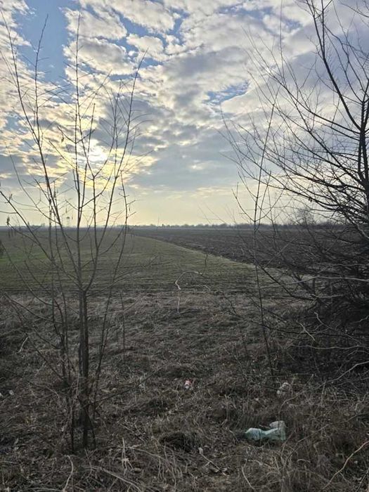 Продава се Парцел в с. Крумово, Област Пловдив - 2597 кв.м за 26 €/кв.м - Снимка #2