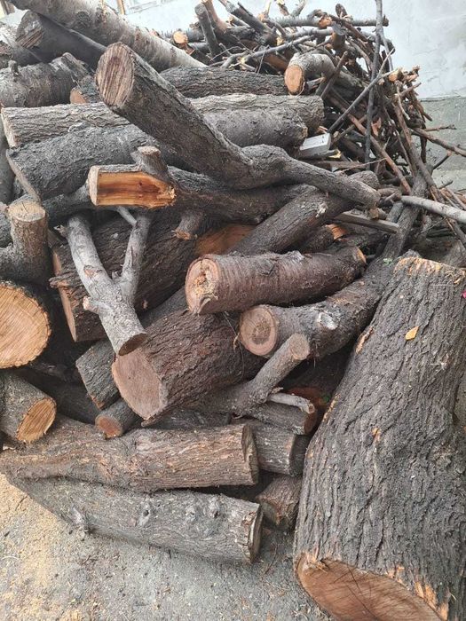 Продам дрова, недорого в Алматы