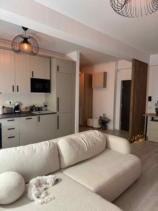 Montaj mobilă - Montare mobilă