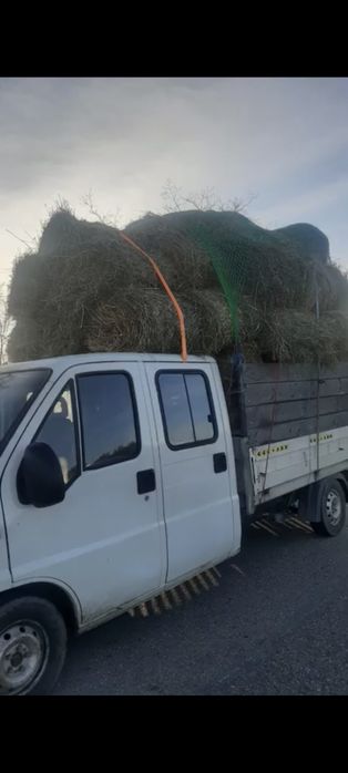 Baloți de fan  Arges