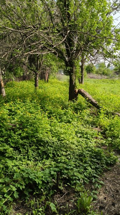 Продам дачу район келешек