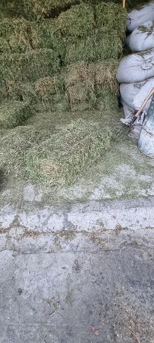 Беда пресс Бухоро Beda pres Buxoro G‘ijduvonda