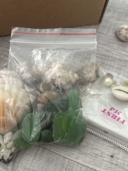 Продам ракушки морские