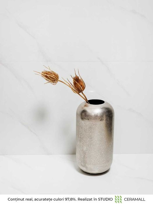 Gresie portelanata 26007 60X120 Lucioasa