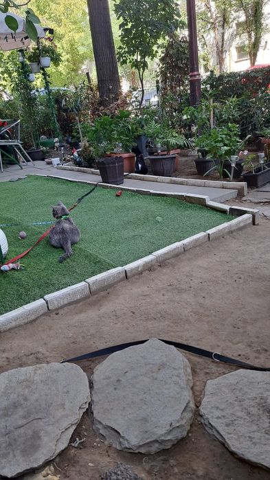 Vand apartament Valea Rosie