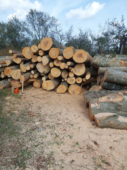 Lemn de foc esenta dorita de dvs