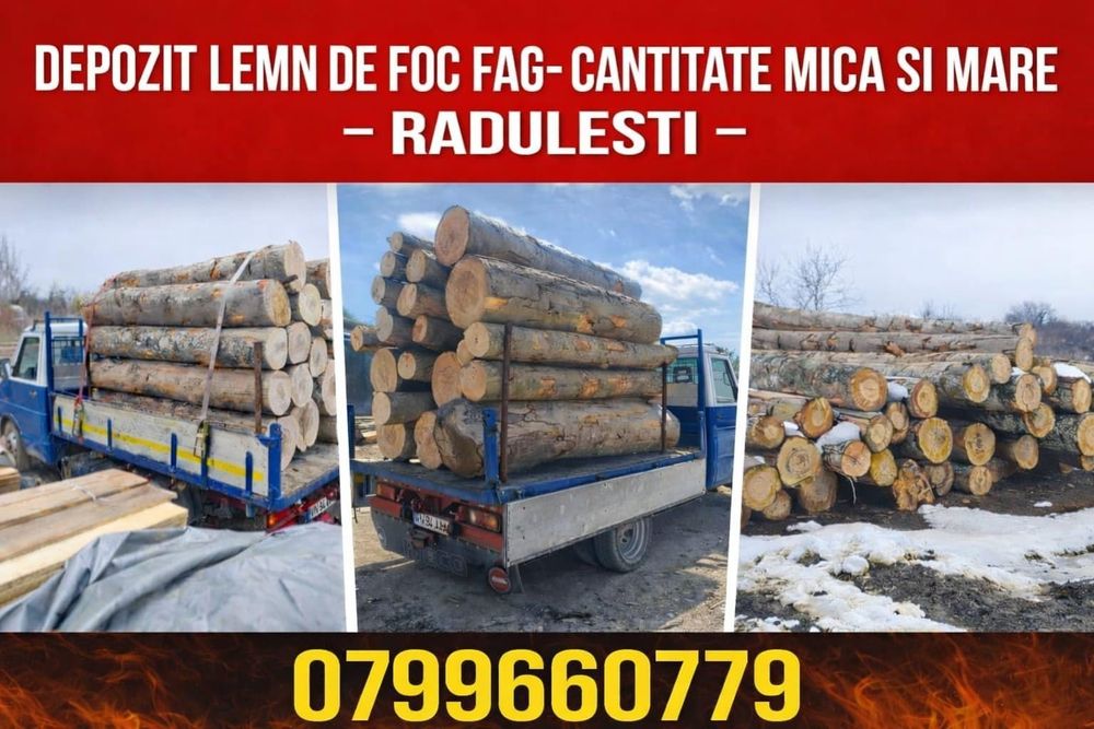 Fag lemn de foc/lucru