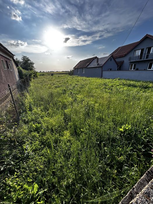 Teren de vânzare Lucian Blaga