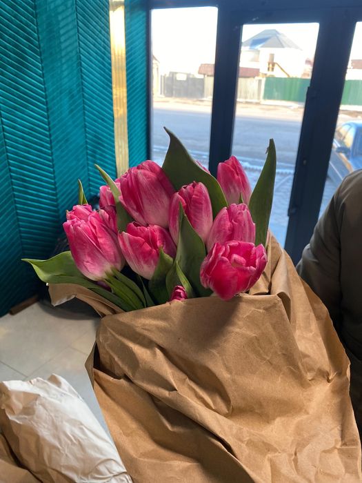 Тараз цветы Голландские тюльпаны