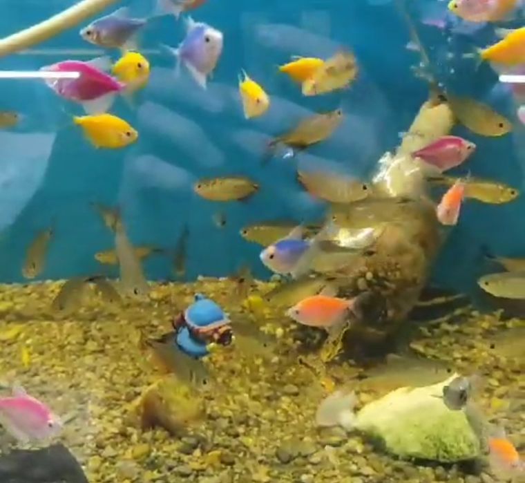 Игрушки для аквариума