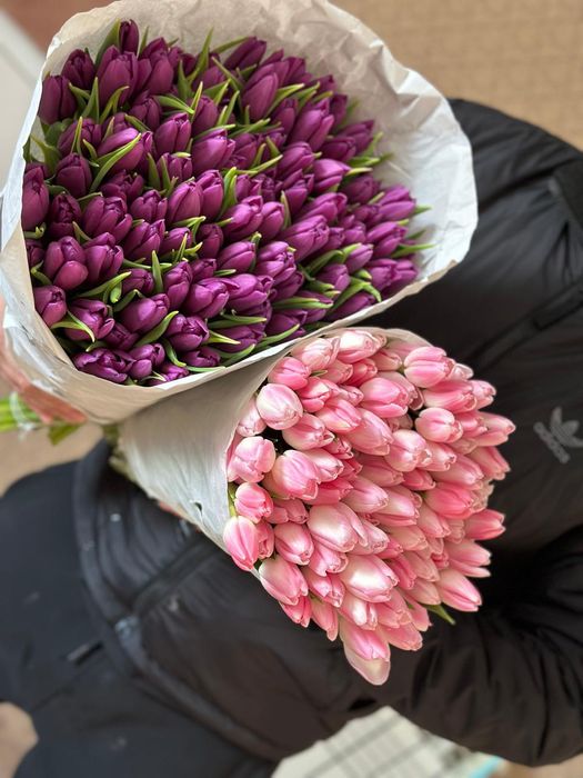 Тюльпаны оптом Астана