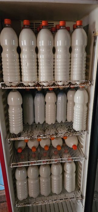 Продам натуральный кумыс