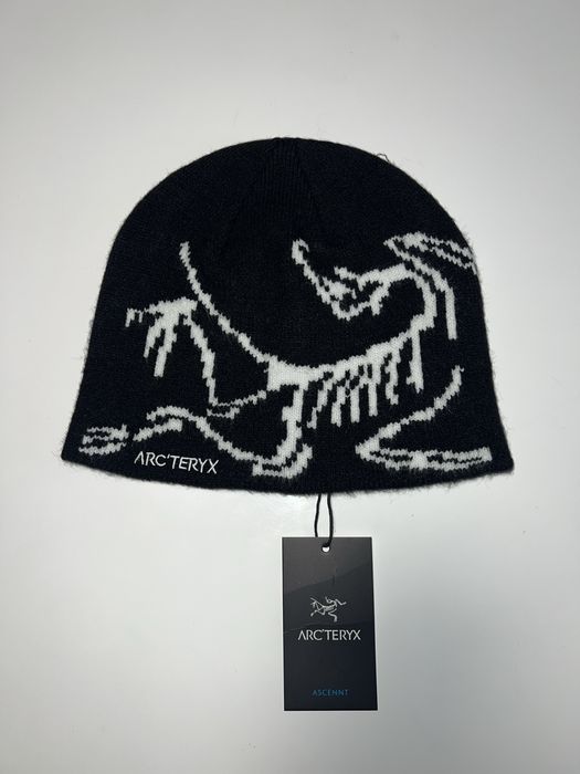 Зимни шапки Arteryx