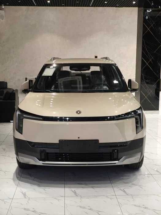 Dongfeng Nammi 06 2026