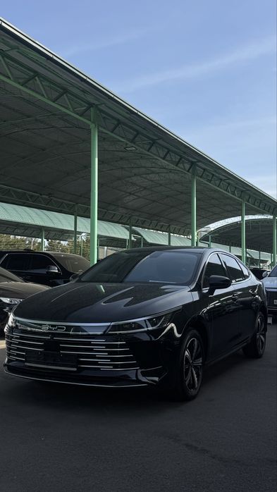 Byd chazor 120 Full 2023