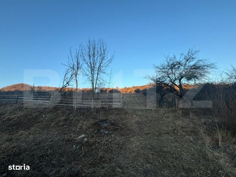 Teren Intravilan, 65000mp, Valea Slatinitei