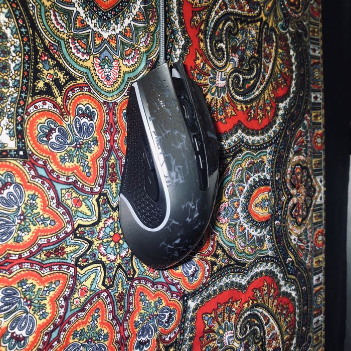 Две мишки AOAS и една настолна камера canyon