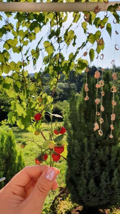 Продава се Къща в с. Цацаровци, Област София-област - 58 кв.м за 1156 €/кв.м - Снимка #14