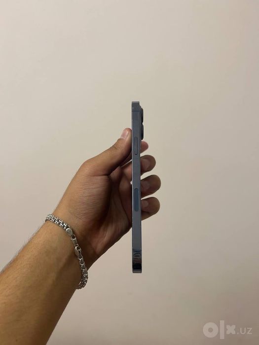 Iphone 13pro max