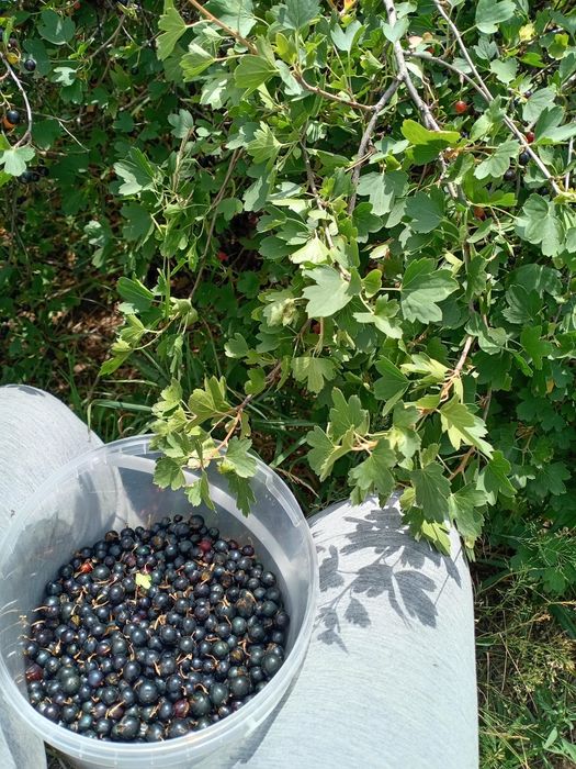 Продам частный дом